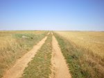camino de Madrid 2009 076.jpg
