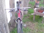 DSC00895.jpg