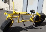 01kitten-bicycle_7IwP9_6648.jpg