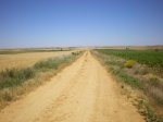 camino de Madrid 2009 107.jpg