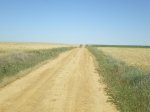 camino de Madrid 2009 106.jpg