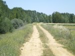 camino de Madrid 2009 110.jpg