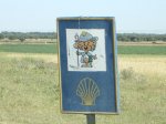 camino de Madrid 2009 126.jpg