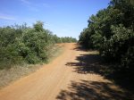 camino de Madrid 2009 128.jpg
