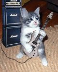 Gato_rockero.jpg