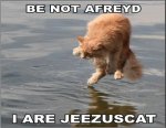 lolcat_jesus.jpg