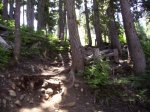 100_0280.jpg