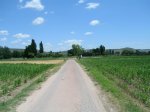 DSCN4902.jpg