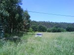 DSC00113.jpg