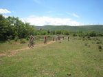 IMG_0158.JPG
