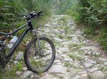 08CaminoPiedras0.JPG