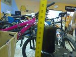02072009061.jpg