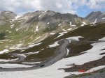 agnello3.jpg