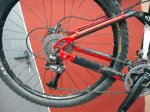 devinci 4.JPG