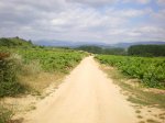 camino frances 2009 046.jpg