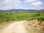 camino frances 2009 049.jpg