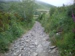 camino frances 2009 086.jpg