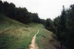 img_0%20(19).jpg