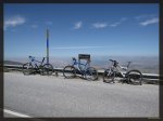 Las burras en los 2000.jpg