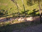 salida 04-07-09 006 [Desktop Resolution].jpg