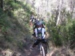 salida 04-07-09 027 [Desktop Resolution].jpg