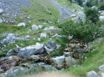 DSC00134.jpg