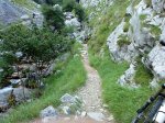 DSC00135.jpg