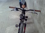 10062009535.jpg