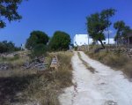 DSC00054.jpg
