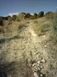 circuito carrera robledo (2)_576x768.JPG