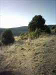 circuito carrera robledo (4)_576x768.JPG