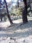 circuito carrera robledo (6)_576x768.JPG
