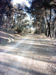 circuito carrera robledo (8)_576x768.JPG