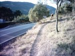 circuito carrera robledo (9)_1024x768.JPG