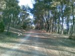 circuito carrera robledo (10)_1024x768.jpg
