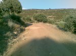 circuito carrera robledo (11)_1024x768.jpg