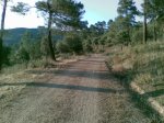 circuito carrera robledo (13)_1024x768.jpg