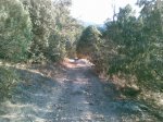 circuito carrera robledo (14)_1024x768.jpg