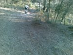 circuito carrera robledo (15)_1024x768.jpg