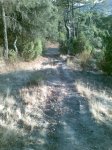 circuito carrera robledo (16)_576x768.jpg