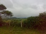04072009797.jpg