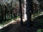 05-07-2009 019.jpg