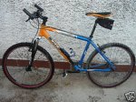 Orbea Team04.jpg