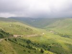 DSCN3406.jpg