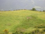 DSCN3408.jpg