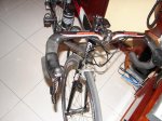 DSC02081.jpg
