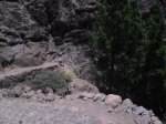 2009-07-04 14-03-30-11730_redimensionar.JPG