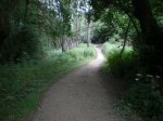 camino frances 2009 117.jpg