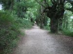 camino frances 2009 120.jpg