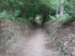 camino frances 2009 138.jpg